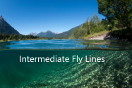 Intermediate Fly Lines